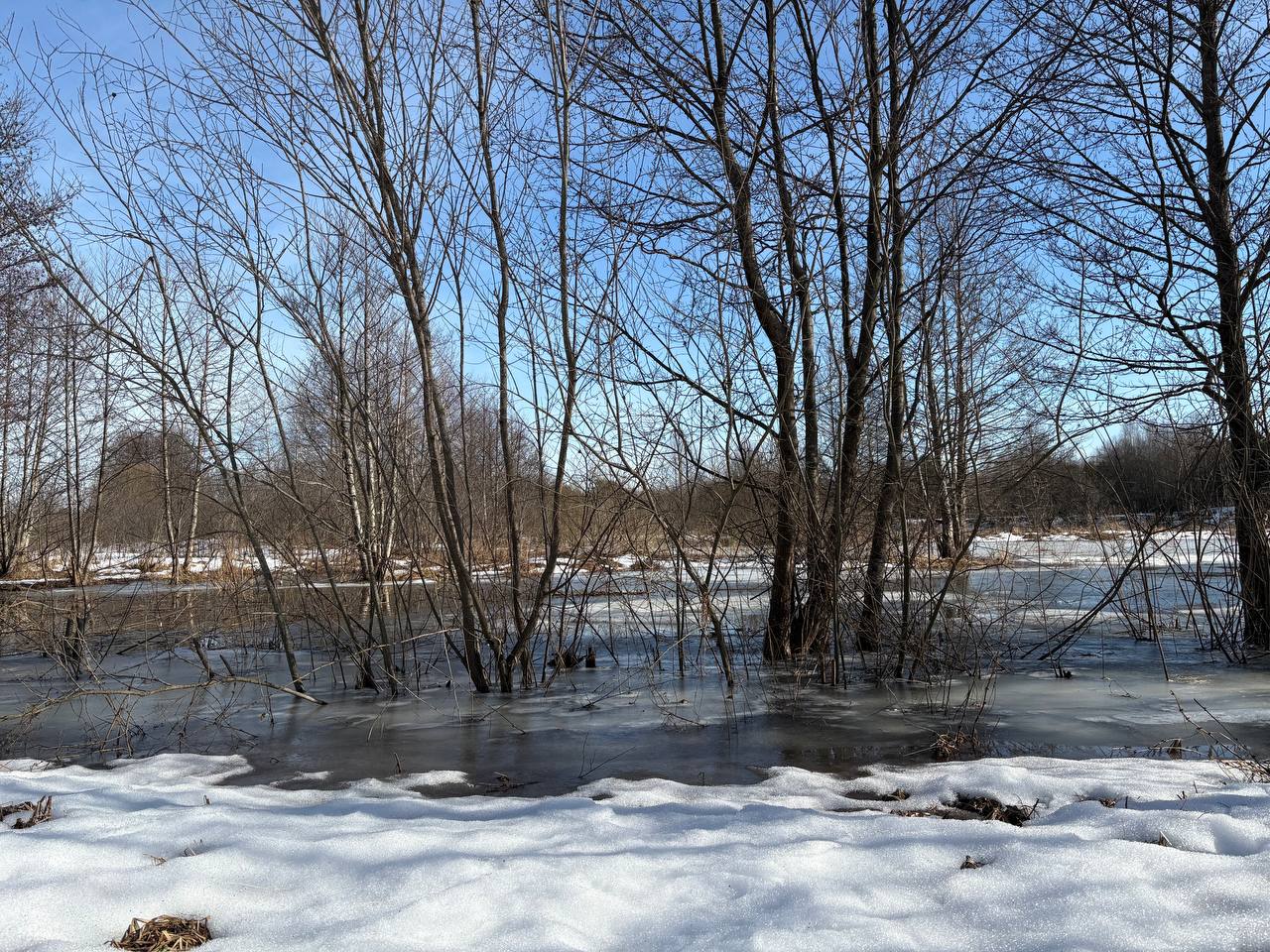 Весеннее половодье: актуальная обстановка в Минской области на 6 марта