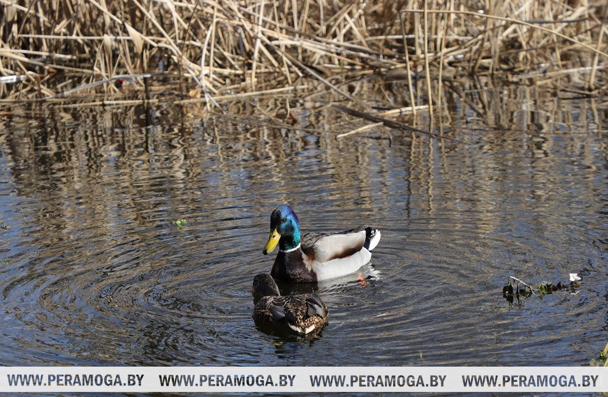 Малооблачно и без осадков. Чем порадует погода 16 марта, рассказали синоптики