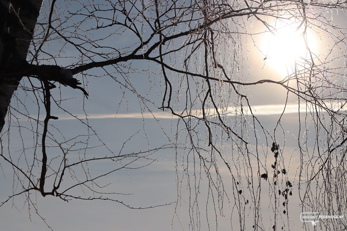 Мокрый снег и гололедица. Узнали, какой будет погода на этой неделе