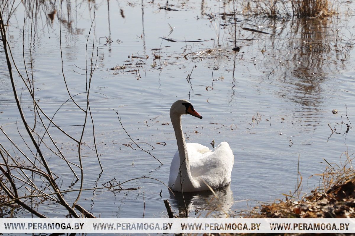 Зонт или солнцезащитные очки – что пригодится белорусам 26 марта