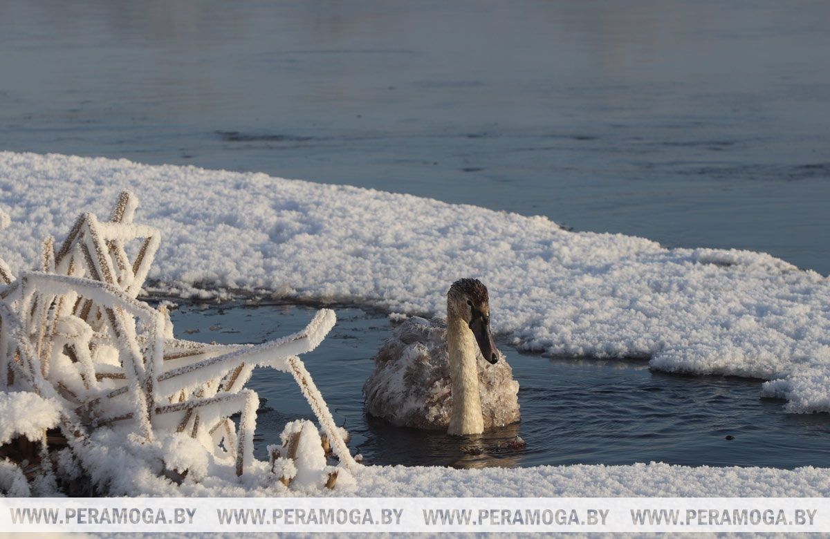 Узнали, где в Беларуси сегодня термометры покажут +16°С