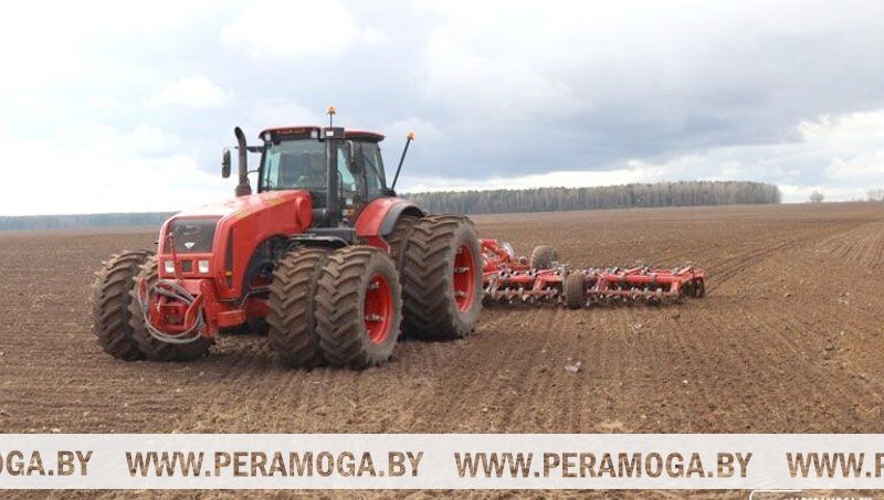 В Беларуси ранние яровые и зернобобовые посеяны на площади 127 тысяч гектаров — 23 % от плана