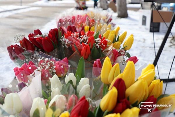 Вырастил цветы – продай легально: ИМНС информирует, как физлицам Вилейщины реализовать продукцию