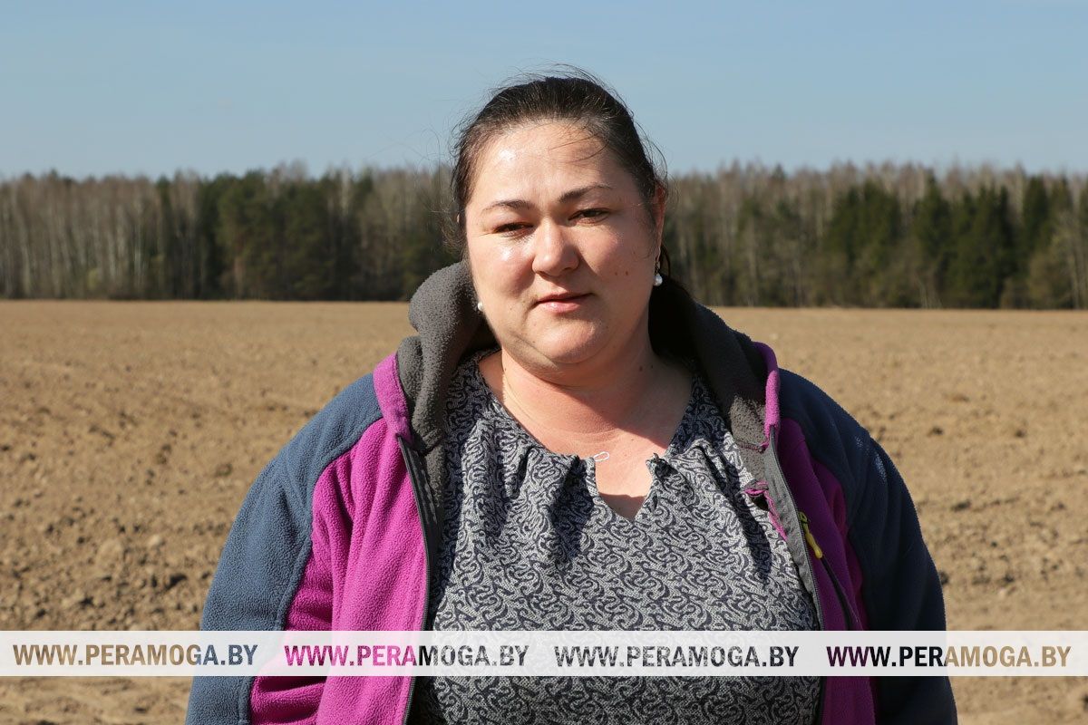 Механізатар Сяргей Кезік і аграном Вольга Каспяровіч: хто робіць вясновую сяўбу на Вілейшчыне