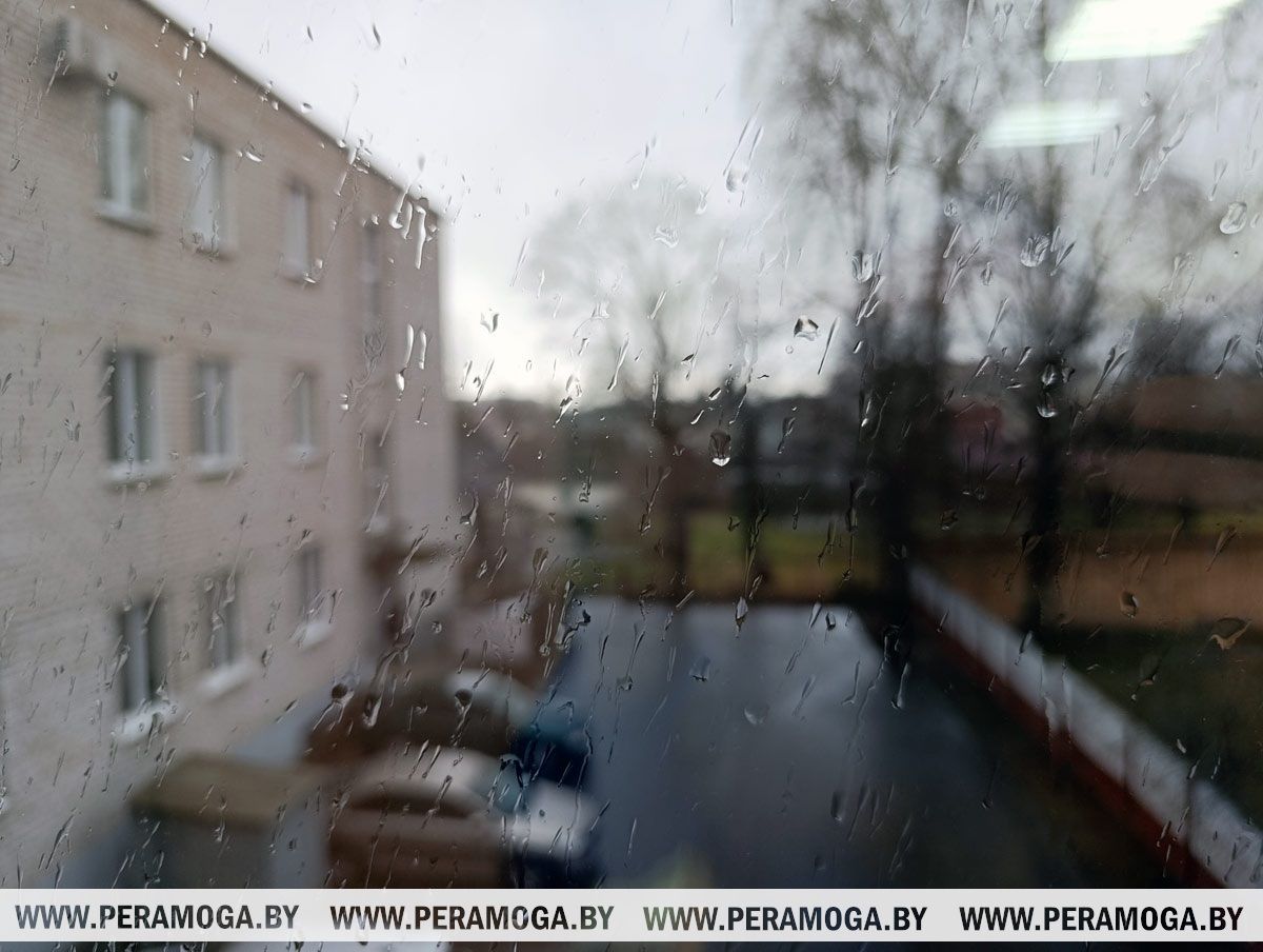 Дожди и мокрый снег. Чего ждать от погоды 8 апреля?