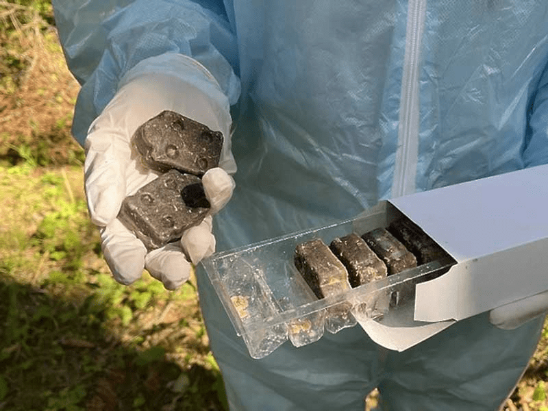 Приманки от бешенства: ветеринарная служба напоминает о правилах безопасности