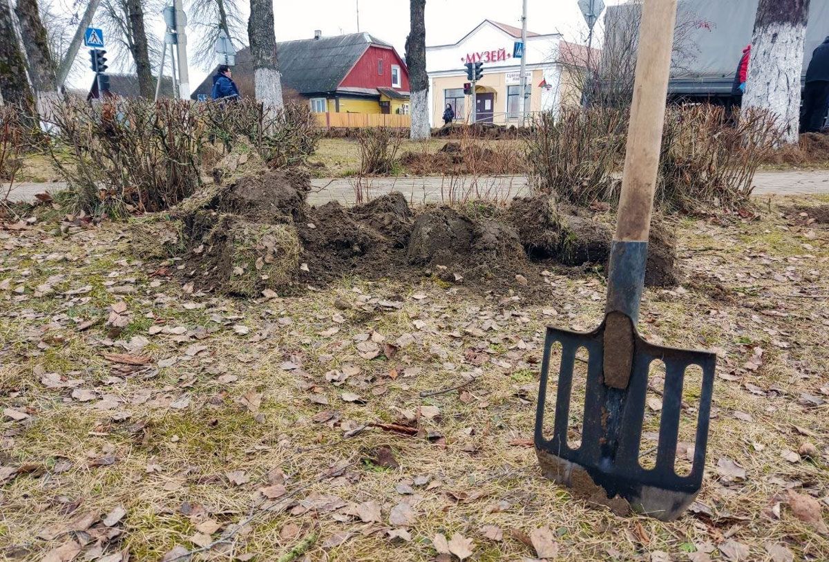 Раскрасим город чистотой! Вилейка запускает флешмоб «Цветной код чистоты»