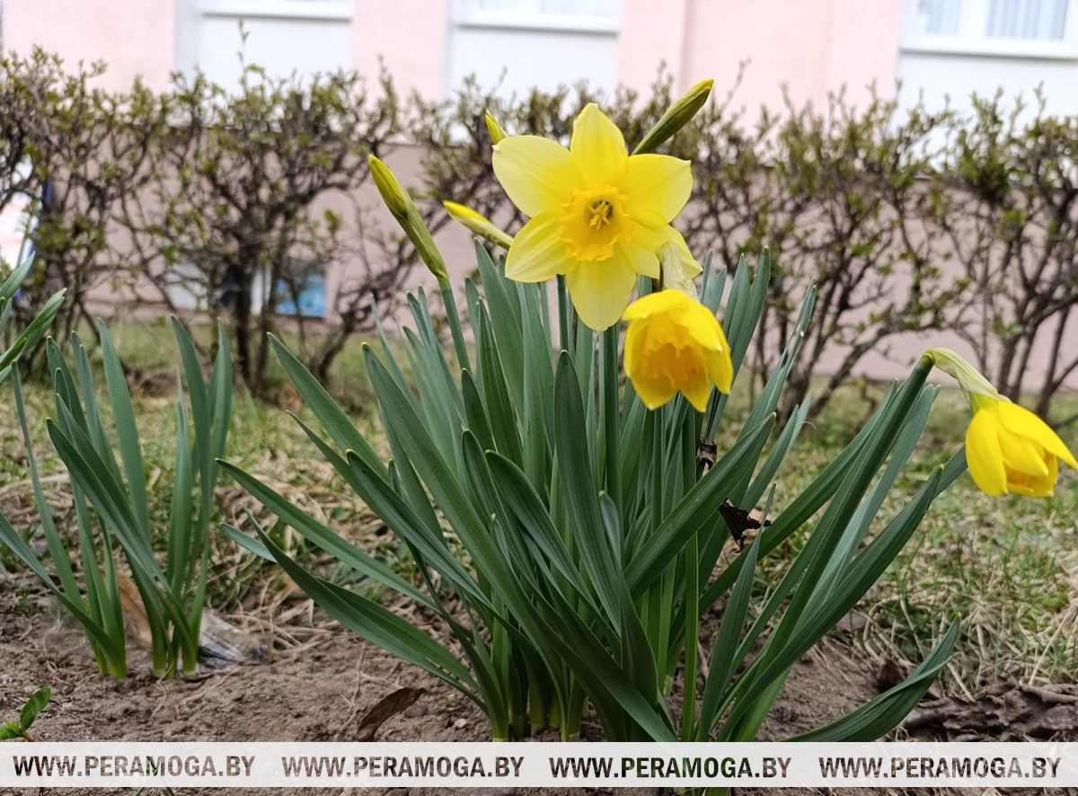 До +19°С обещают в Беларуси 2 апреля. А что насчет осадков?