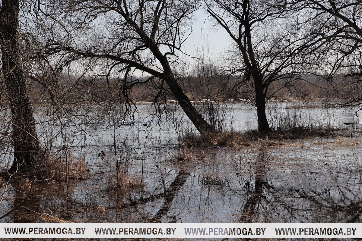 Погода в Беларуси в выходные: небольшие дожди и до +17 °С