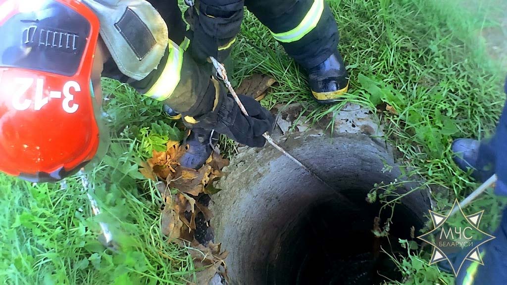 Операция «Спасение» в Вилейском районе: пес поднят из глубокой западни