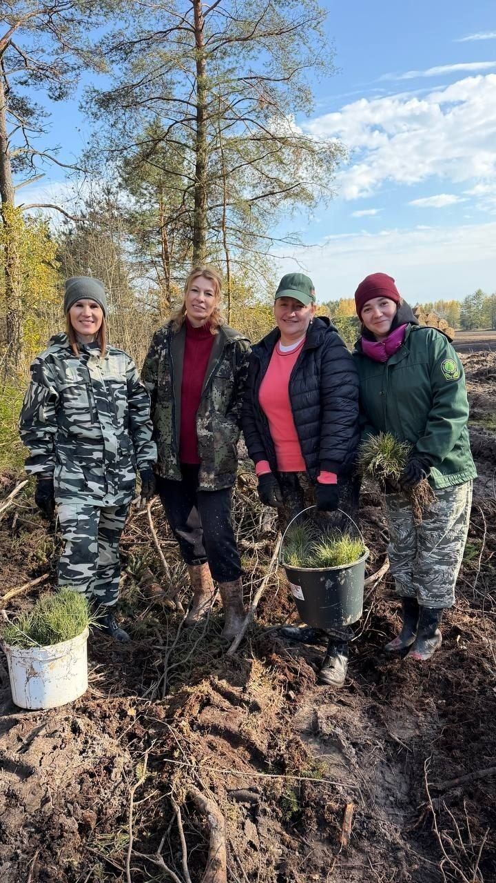 «Дай лесу новае жыццё!»: Вилейщина приняла акцию Минлесхоза